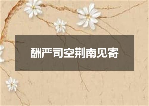 酬严司空荆南见寄