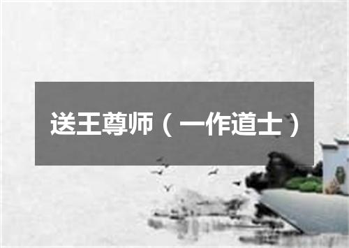 送王尊师(一作道士)