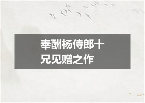 奉酬杨侍郎十兄见赠之作