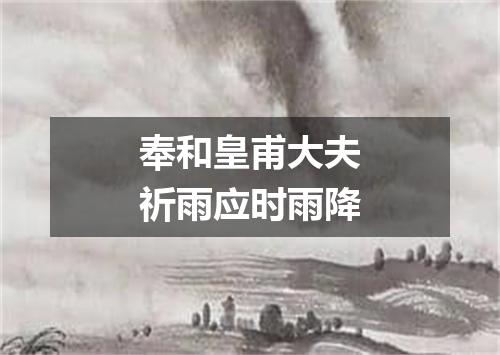 奉和皇甫大夫祈雨应时雨降