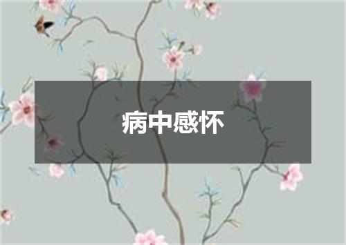 病中感怀