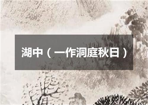 湖中(一作洞庭秋日)