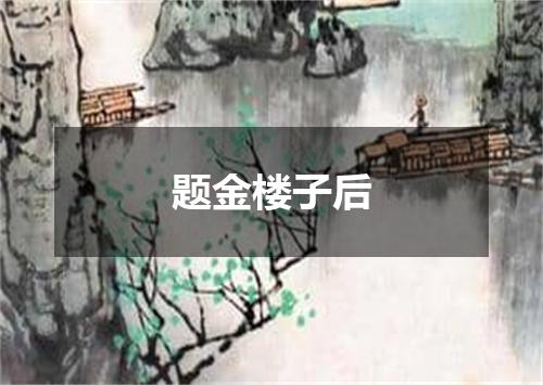 题金楼子后