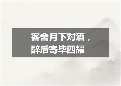 客舍月下对酒，醉后寄毕四耀