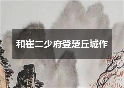 和崔二少府登楚丘城作