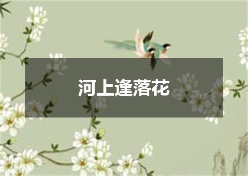 河上逢落花