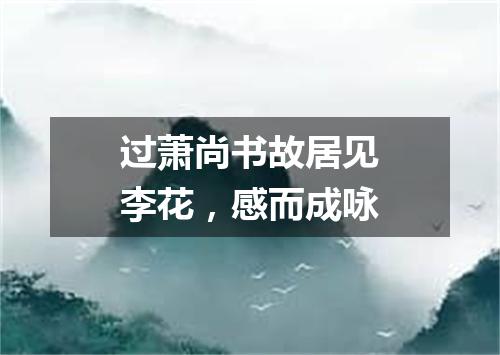 过萧尚书故居见李花，感而成咏