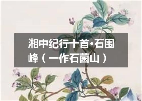 湘中纪行十首·石围峰（一作石菌山）