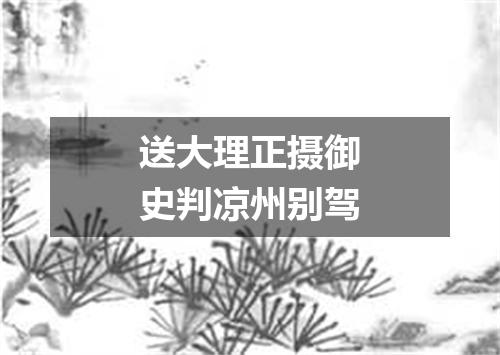 送大理正摄御史判凉州别驾