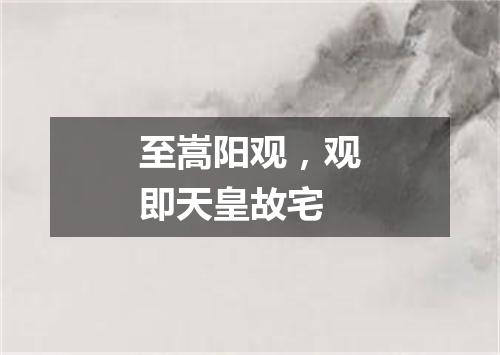 至嵩阳观，观即天皇故宅