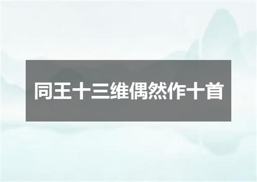 同王十三维偶然作十首