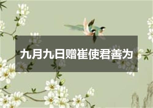九月九日赠崔使君善为