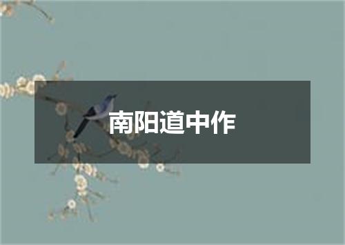 南阳道中作