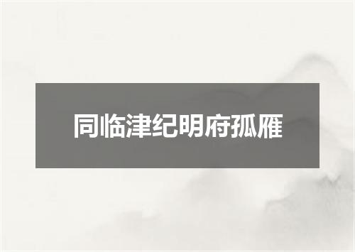 同临津纪明府孤雁