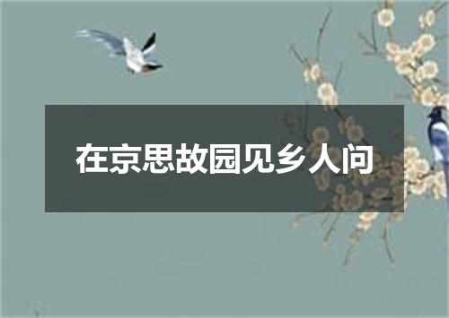 在京思故园见乡人问