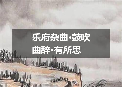 乐府杂曲·鼓吹曲辞·有所思