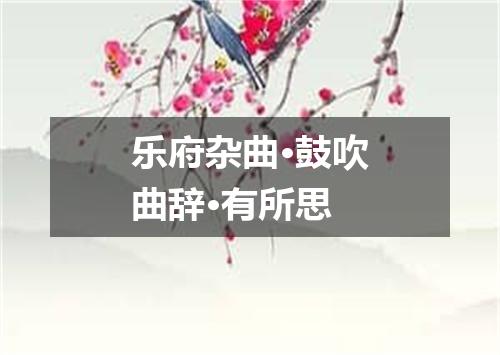 乐府杂曲·鼓吹曲辞·有所思