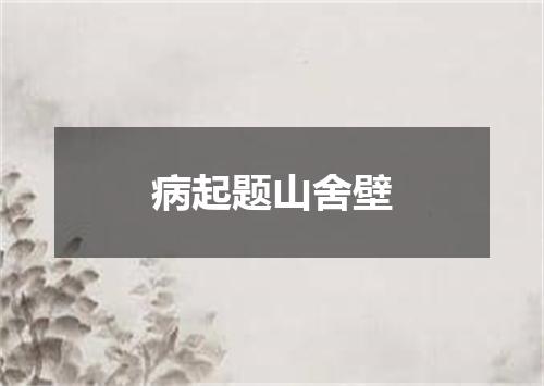 病起题山舍壁