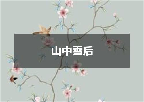 山中雪后