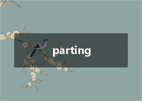 parting是什么意思