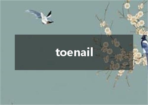 toenail是什么意思