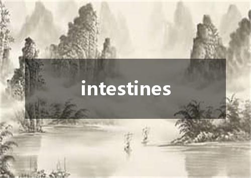 intestines是什么意思