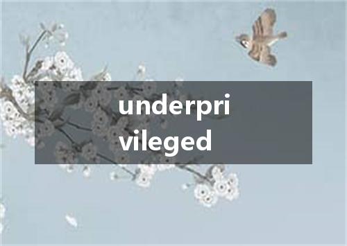 underprivileged是什么意思