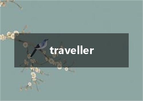 traveller是什么意思