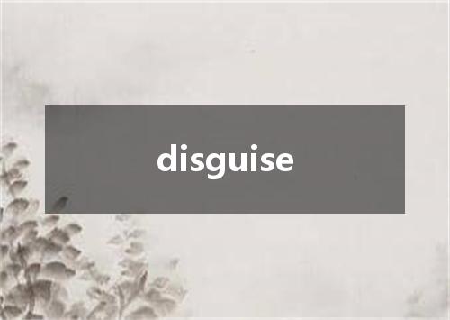 disguise是什么意思