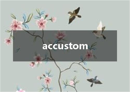 accustom是什么意思