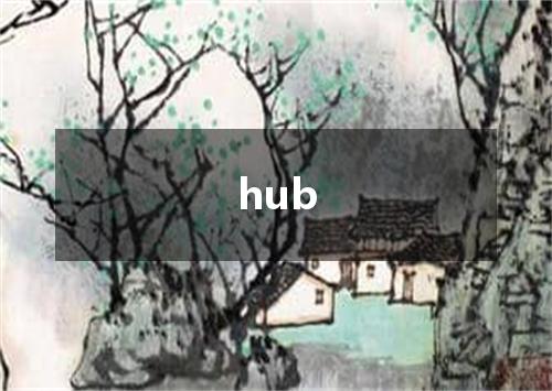 hub是什么意思