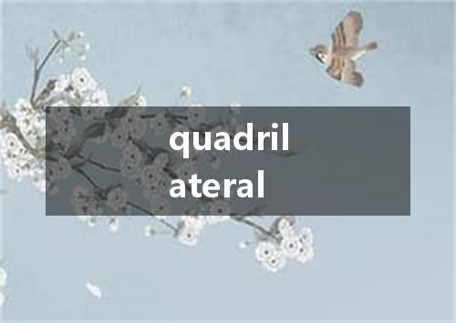 quadrilateral是什么意思
