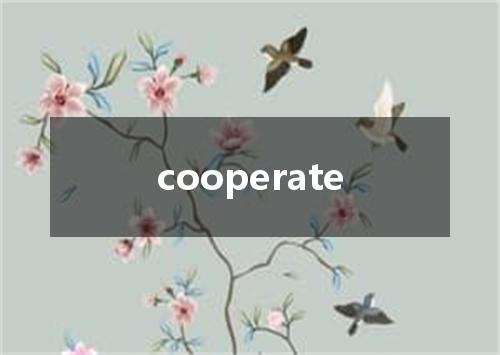 cooperate是什么意思