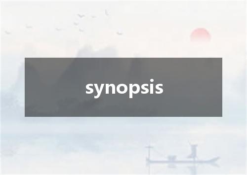synopsis是什么意思