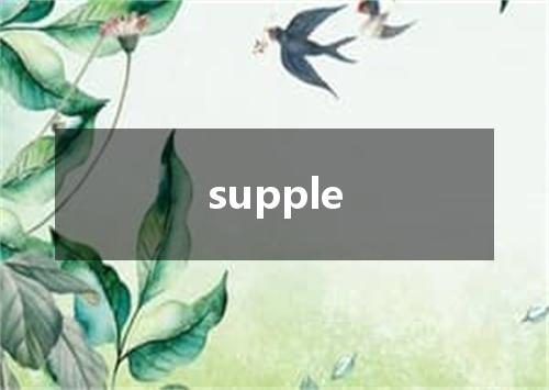 supple是什么意思
