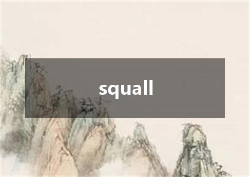 squall是什么意思