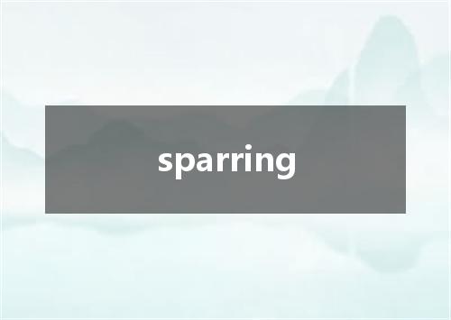 sparring是什么意思