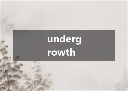 undergrowth是什么意思