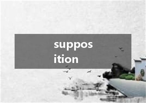 supposition是什么意思