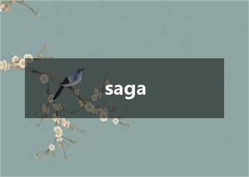 saga是什么意思