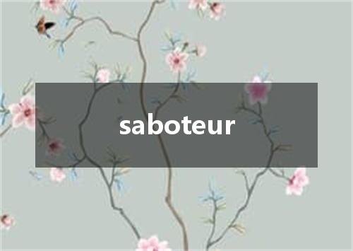 saboteur是什么意思