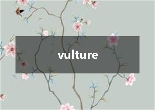 vulture是什么意思