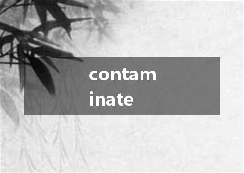 contaminate是什么意思