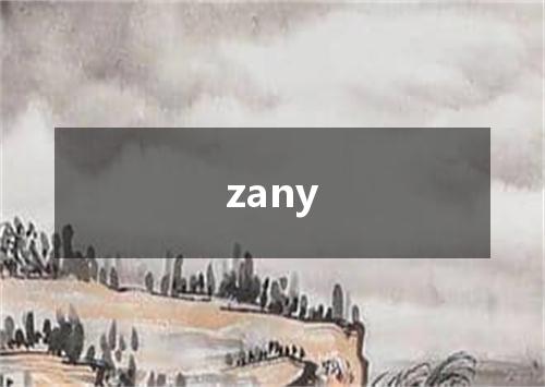 zany是什么意思