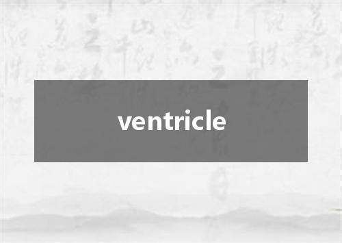 ventricle是什么意思