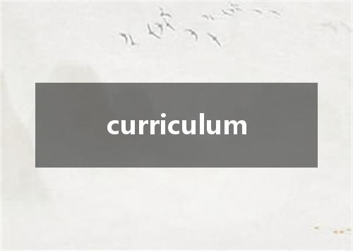 curriculum是什么意思