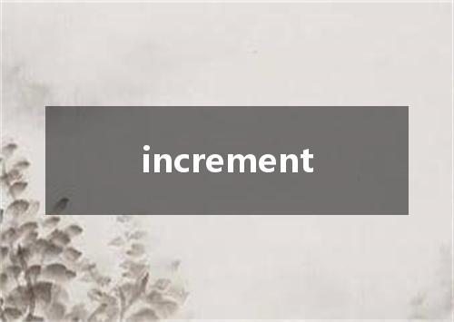 increment是什么意思