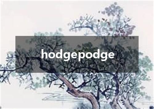 hodgepodge是什么意思