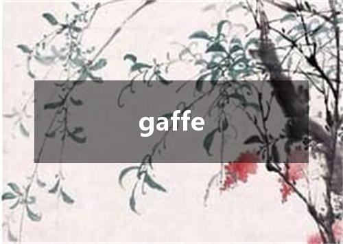 gaffe是什么意思