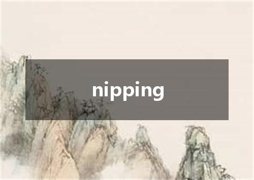 nipping是什么意思